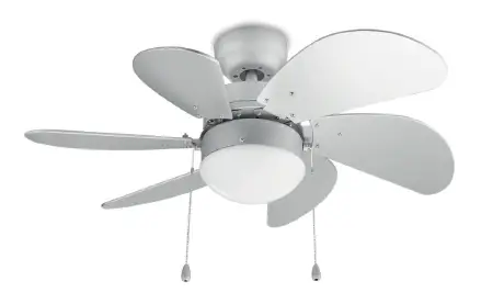 ceiling fan