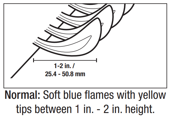Blue Rhino GGT2131L Outdoor 2-Burner Portable LP Gas Griddle - fig 2