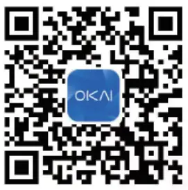 OKAI ES30L Electric Scooter-fig25