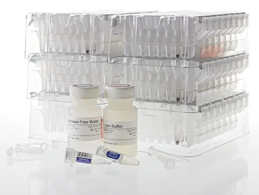 Promega-AS1780-Maxwell-CSC-Viral-Total-Nucleic-Acid-Purification-Kit-product