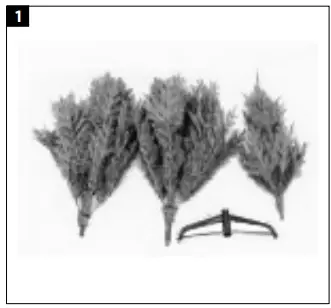 EKVIP 022416 Christmas Tree-1