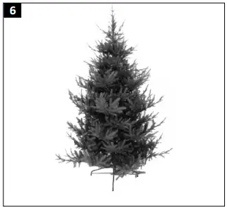 EKVIP 022416 Christmas Tree-6