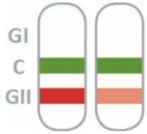 nal von minden REF 920006N-10 NADAL Norovirus GI GII Test-fig10