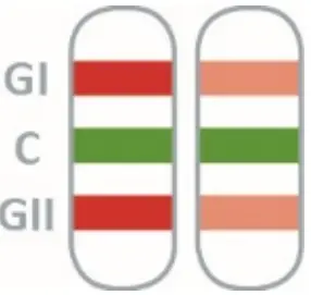 nal von minden REF 920006N-10 NADAL Norovirus GI GII Test-fig11