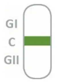nal von minden REF 920006N-10 NADAL Norovirus GI GII Test-fig12
