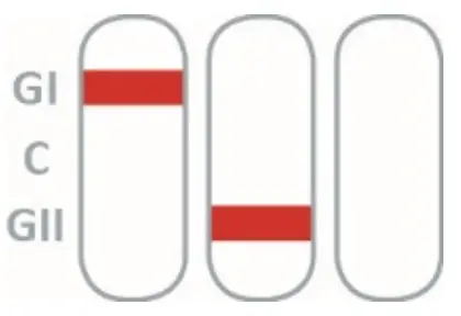 nal von minden REF 920006N-10 NADAL Norovirus GI GII Test-fig13