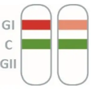 nal von minden REF 920006N-10 NADAL Norovirus GI GII Test-fig9