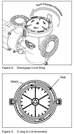 Jandy-JCP05-1CT-N JCP-Series-High-Performance-Commercial-Pumps-08