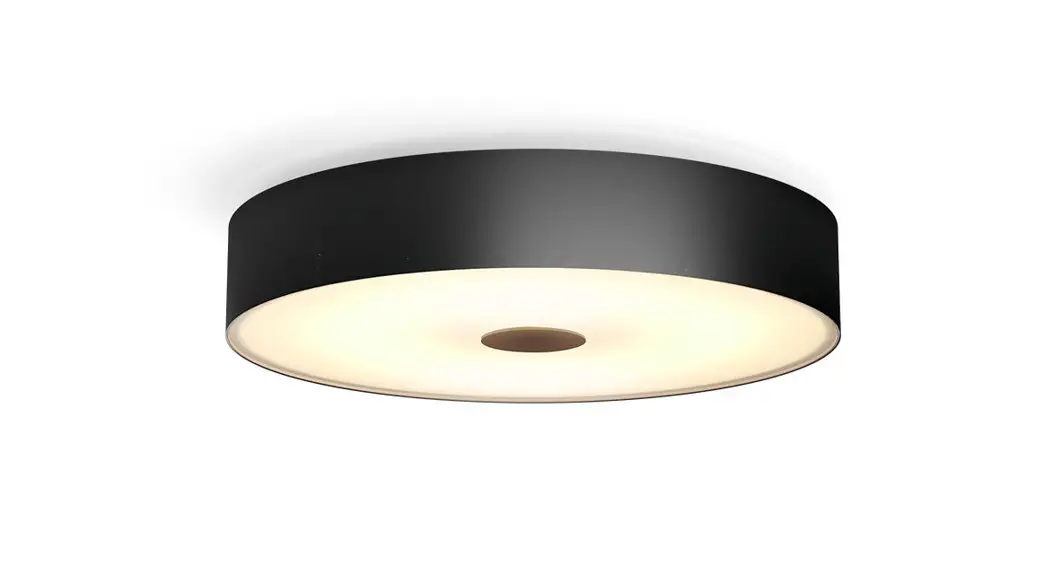 Philips 8719514341258 Fair Ceiling Light User Manual