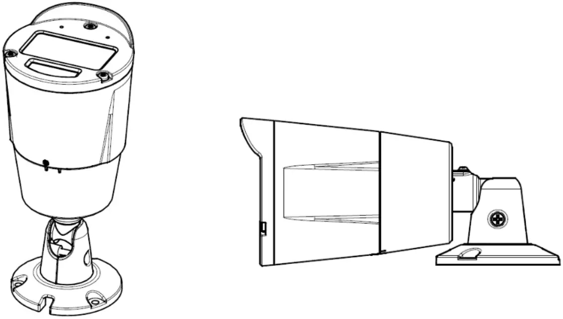 Appearance Description