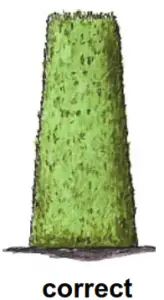 Westfalia Electric Hedge Trimmer 710W - correct