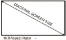 Screen Size