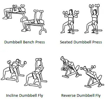 Dumbbells MS282641AAB Adjustable Dumbbell 12