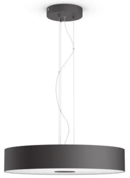 PHILIPS 40339 11 16 Pendant Lamp