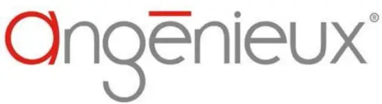 angenieux 311822A Zoom Lens - logo