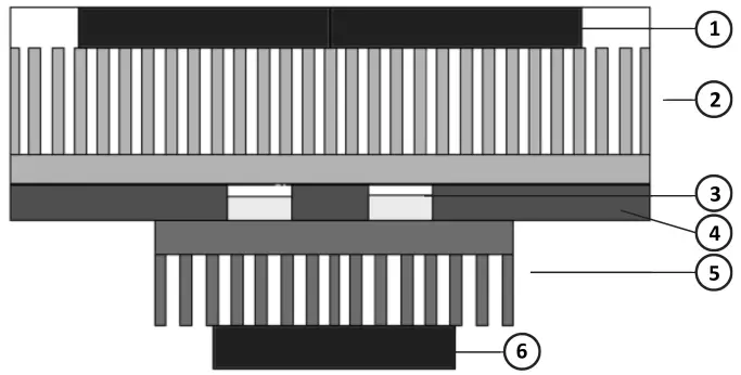 Functional Principle