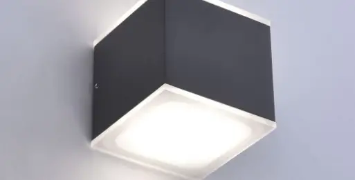 Paul Neuhaus 9700-13 Q-amin Wall Light Led Instruction Manual