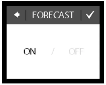Forecast feature