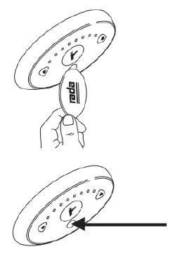 Armstrong-Rada-Sense-Mobile-App-FIG-2