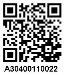 SUNJOY GROUP A304001100 Farmington Wood Burning Fireplace - QR code 1