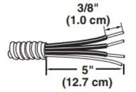 Electrical Connection Options