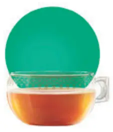 Discover The Whole Family