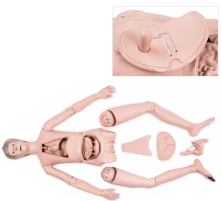 3B Nikki The Nursing Manikin With Auscultation - Assembly