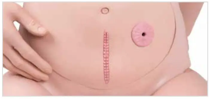 3B Nikki The Nursing Manikin With Auscultation - Bandages 1