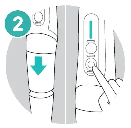 Insert the attachments