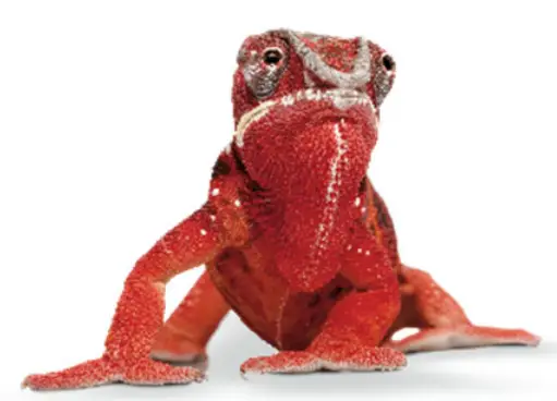 ELATEC RFID TWN4 Palon Compact M Light RFID Reader - icon10