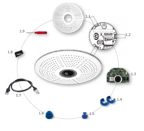 c26 Standard Delivery