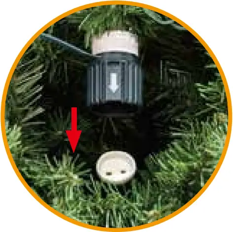 Polygroup Grow and Stow Christmas Trees - FIG 6