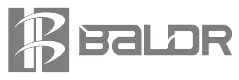 BaLDR-B3091-Single-Dual-Tariff-Power-Meter-logo