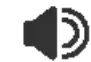 SPEAKER ICON