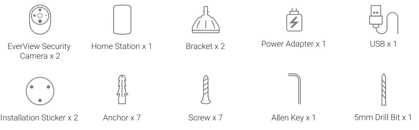BOSMA-EverView-Camera-FIG1