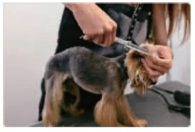 unibono-YP-7116-Pet-Grooming-Kit-for-Dog-and-Cat-FIG-2