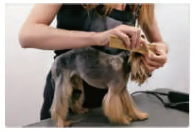 unibono-YP-7116-Pet-Grooming-Kit-for-Dog-and-Cat-FIG-3