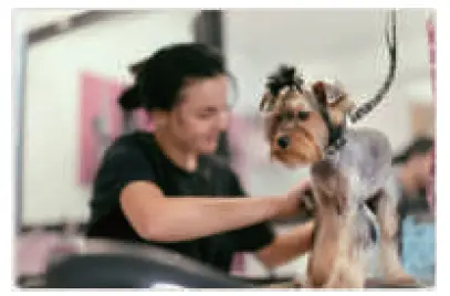 unibono-YP-7116-Pet-Grooming-Kit-for-Dog-and-Cat-FIG-4