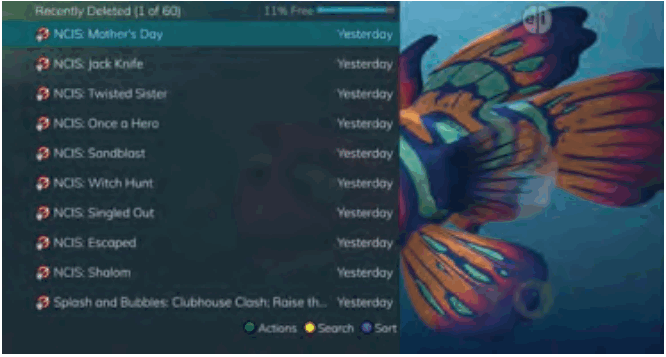 Swiftel IPTV Middleware Remote Control and DVR - 5