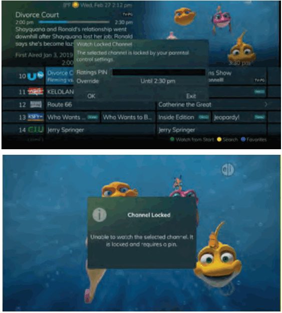 Swiftel IPTV Middleware Remote Control and DVR - Locked Channel