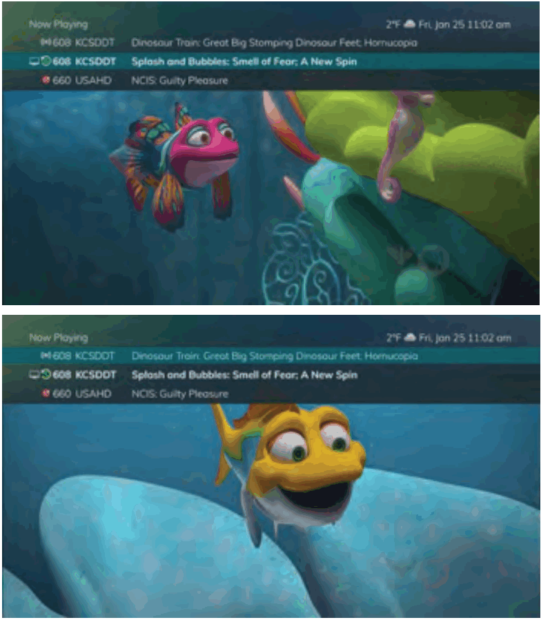 Swiftel IPTV Middleware Remote Control and DVR - Multiple Streams