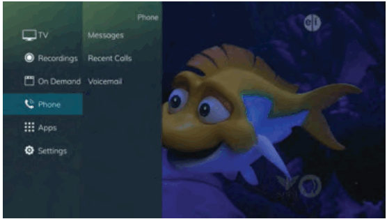 Swiftel IPTV Middleware Remote Control and DVR - Phone Menu