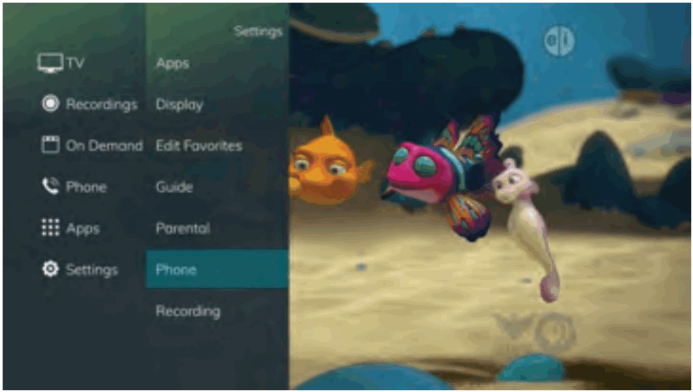 Swiftel IPTV Middleware Remote Control and DVR - Phone Settings