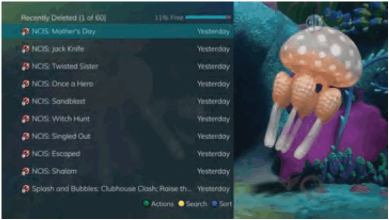 Swiftel IPTV Middleware Remote Control and DVR - Recently Deleted List
