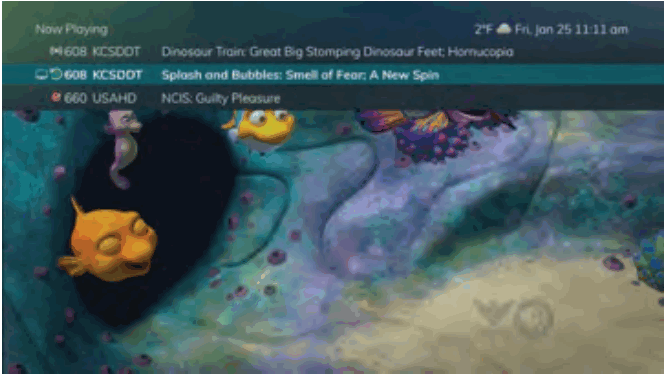 Swiftel IPTV Middleware Remote Control and DVR - TV Menu 3