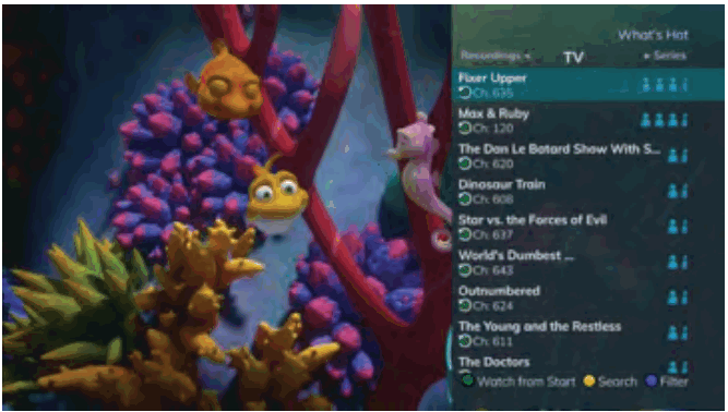Swiftel IPTV Middleware Remote Control and DVR - TV Menu 5