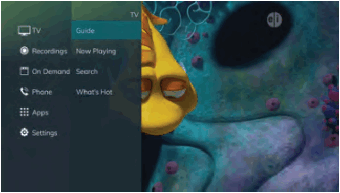 Swiftel IPTV Middleware Remote Control and DVR - TV Menu