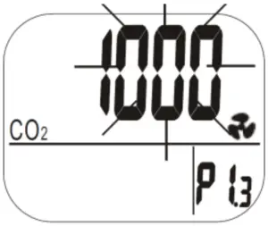 EXTECH CO200 - Setup Mode - P1.3
