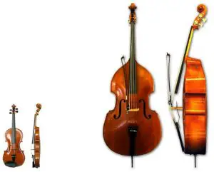 Violin and Double bass