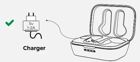RAYCON The Work Earbuds Classic- Charging Capsule